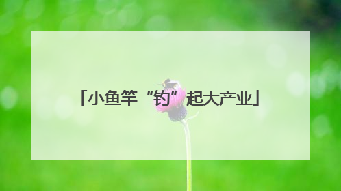 小鱼竿“钓”起大产业