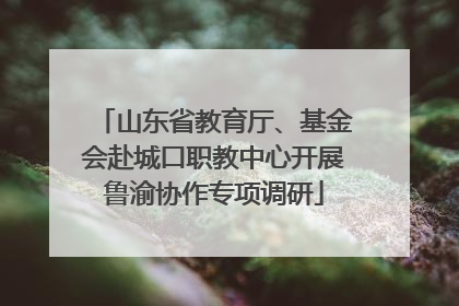 山东省教育厅、基金会赴城口职教中心开展鲁渝协作专项调研