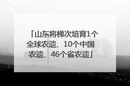 山东将梯次培育1个全球农遗、10个中国农遗、46个省农遗