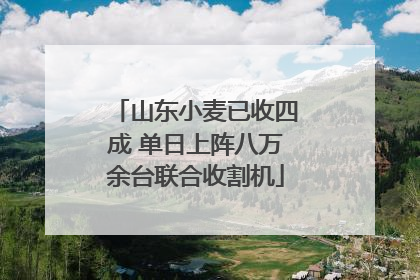 山东小麦已收四成 单日上阵八万余台联合收割机