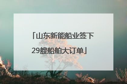 山东新能船业签下29艘船舶大订单