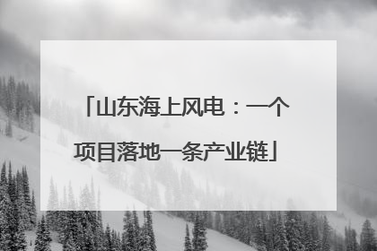 山东海上风电：一个项目落地一条产业链