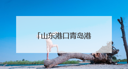 山东港口青岛港完成北方首单船舶生物燃料油加注