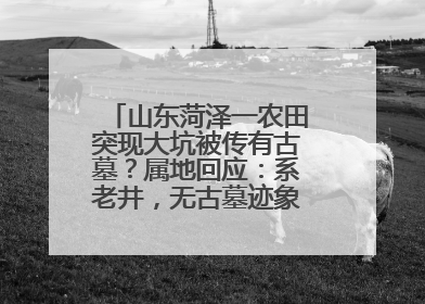 山东菏泽一农田突现大坑被传有古墓？属地回应：系老井，无古墓迹象，已回填