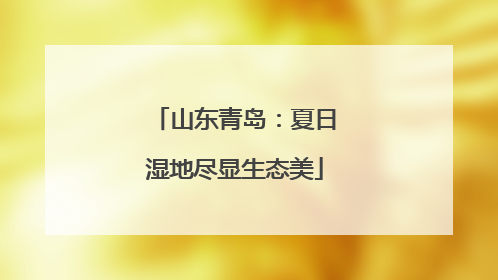 山东青岛：夏日湿地尽显生态美