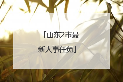 山东2市最新人事任免