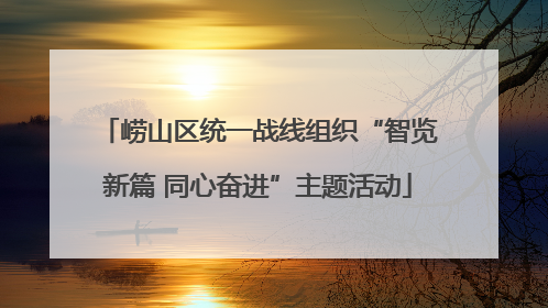 崂山区统一战线组织“智览新篇 同心奋进”主题活动