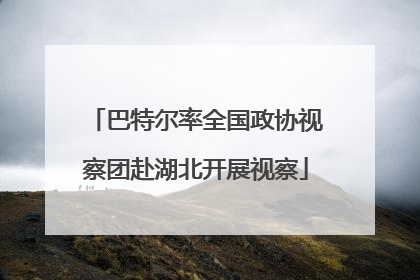 巴特尔率全国政协视察团赴湖北开展视察