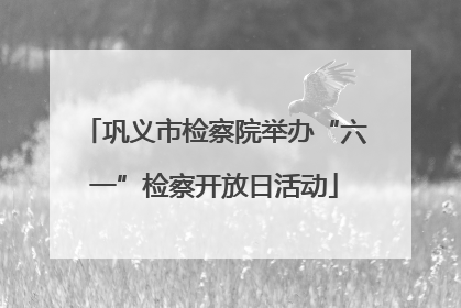 巩义市检察院举办“六一”检察开放日活动