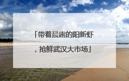 带着晨露的阳新虾，抢鲜武汉大市场
