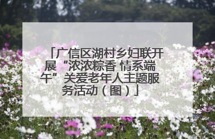 广信区湖村乡妇联开展“浓浓粽香 情系端午”关爱老年人主题服务活动（图）