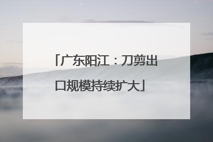 广东阳江：刀剪出口规模持续扩大