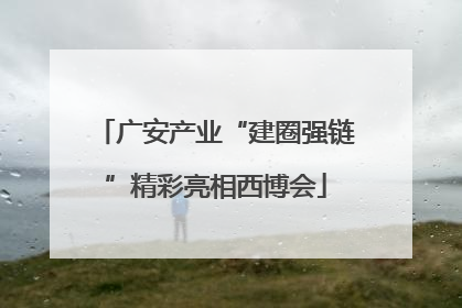 广安产业“建圈强链”精彩亮相西博会