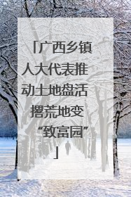 广西乡镇人大代表推动土地盘活 撂荒地变“致富园”