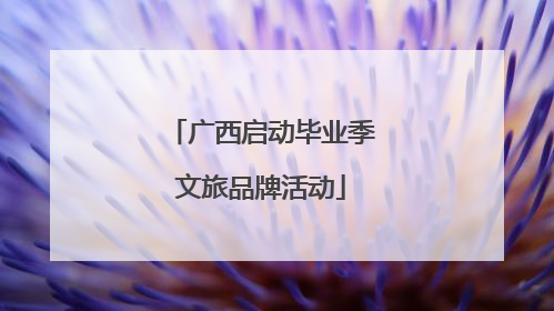 广西启动毕业季文旅品牌活动