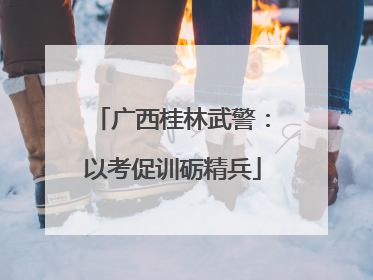 广西桂林武警：以考促训砺精兵