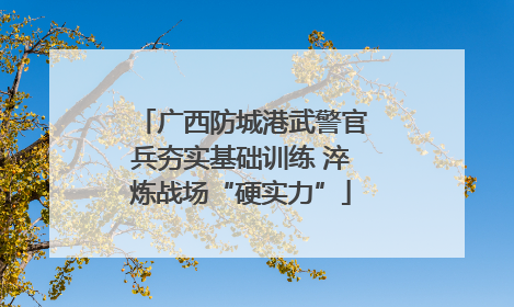 广西防城港武警官兵夯实基础训练 淬炼战场“硬实力”