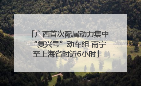 广西首次配属动力集中“复兴号”动车组 南宁至上海省时近6小时