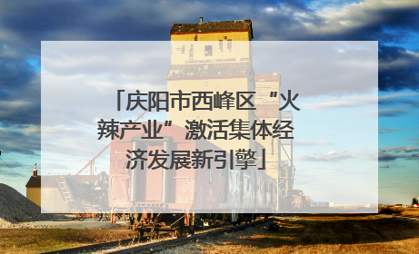 庆阳市西峰区“火辣产业”激活集体经济发展新引擎