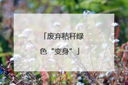 废弃秸秆绿色“变身”