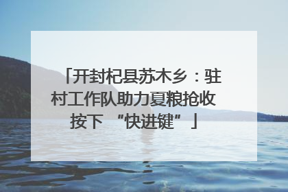开封杞县苏木乡：驻村工作队助力夏粮抢收按下 “快进键”