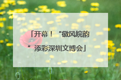 开幕！“徽风皖韵”添彩深圳文博会