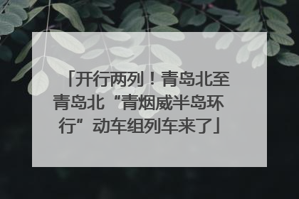 开行两列！青岛北至青岛北“青烟威半岛环行”动车组列车来了