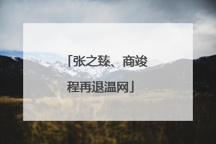张之臻、商竣程再退温网