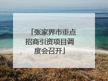 张家界市重点招商引资项目调度会召开
