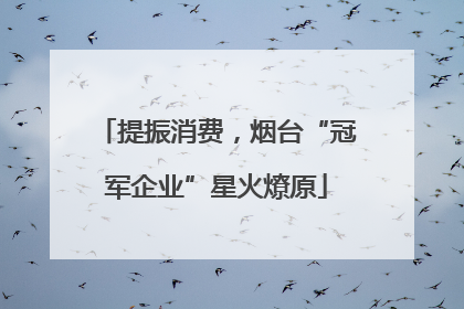 提振消费，烟台“冠军企业”星火燎原