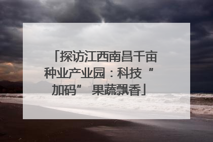 探访江西南昌千亩种业产业园：科技“加码” 果蔬飘香