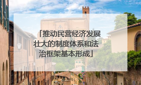 推动民营经济发展壮大的制度体系和法治框架基本形成