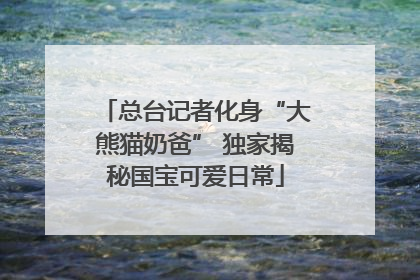 总台记者化身“大熊猫奶爸” 独家揭秘国宝可爱日常