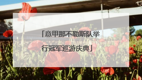 意甲那不勒斯队举行冠军巡游庆典