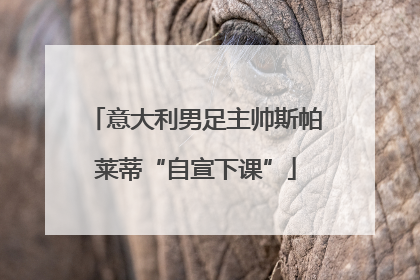 意大利男足主帅斯帕莱蒂“自宣下课”