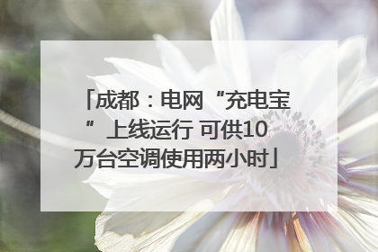 成都：电网“充电宝”上线运行 可供10万台空调使用两小时