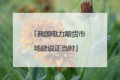 我国电力期货市场建设正当时