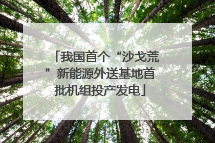 我国首个“沙戈荒”新能源外送基地首批机组投产发电