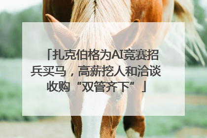 扎克伯格为AI竞赛招兵买马，高薪挖人和洽谈收购“双管齐下”