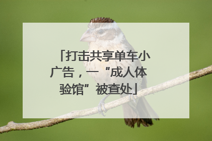 打击共享单车小广告，一“成人体验馆”被查处