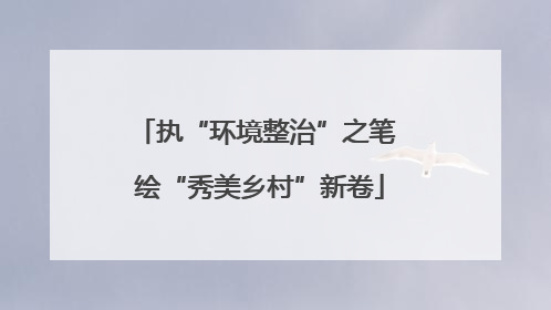 执“环境整治”之笔 绘“秀美乡村”新卷