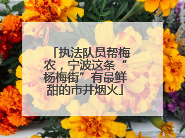 执法队员帮梅农，宁波这条“杨梅街”有最鲜甜的市井烟火
