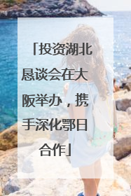 投资湖北恳谈会在大阪举办，携手深化鄂日合作