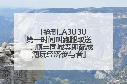 抢到LABUBU第一时间叫跑腿取送，顺丰同城等即配成潮玩经济参与者
