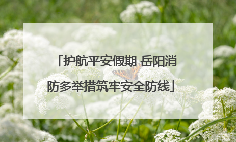护航平安假期 岳阳消防多举措筑牢安全防线