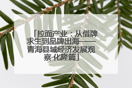 拉面产业：从借牌求生到品牌出海——青海县域经济发展观察·化隆篇