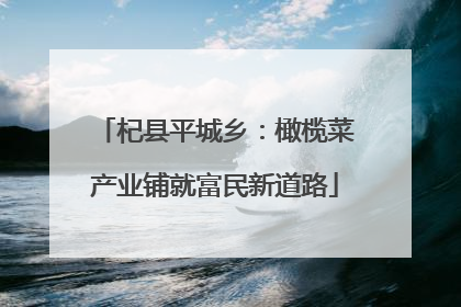 杞县平城乡：橄榄菜产业铺就富民新道路