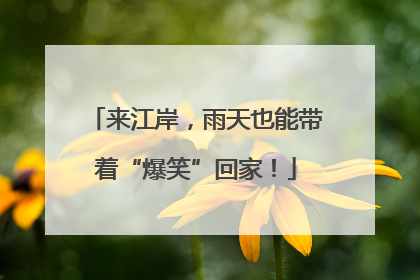 来江岸，雨天也能带着“爆笑”回家！