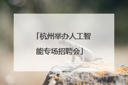 杭州举办人工智能专场招聘会