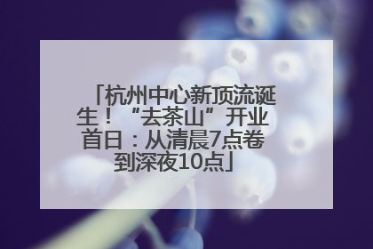 杭州中心新顶流诞生！“去茶山”开业首日：从清晨7点卷到深夜10点